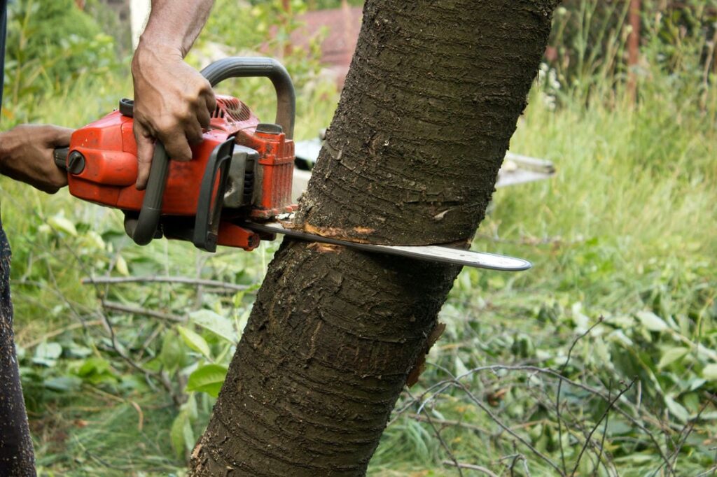 tree services