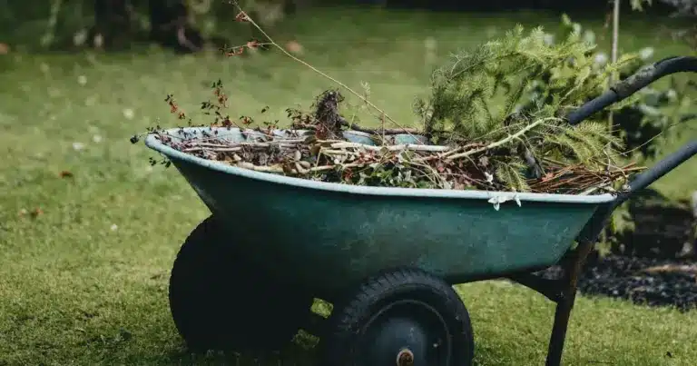 green waste removal