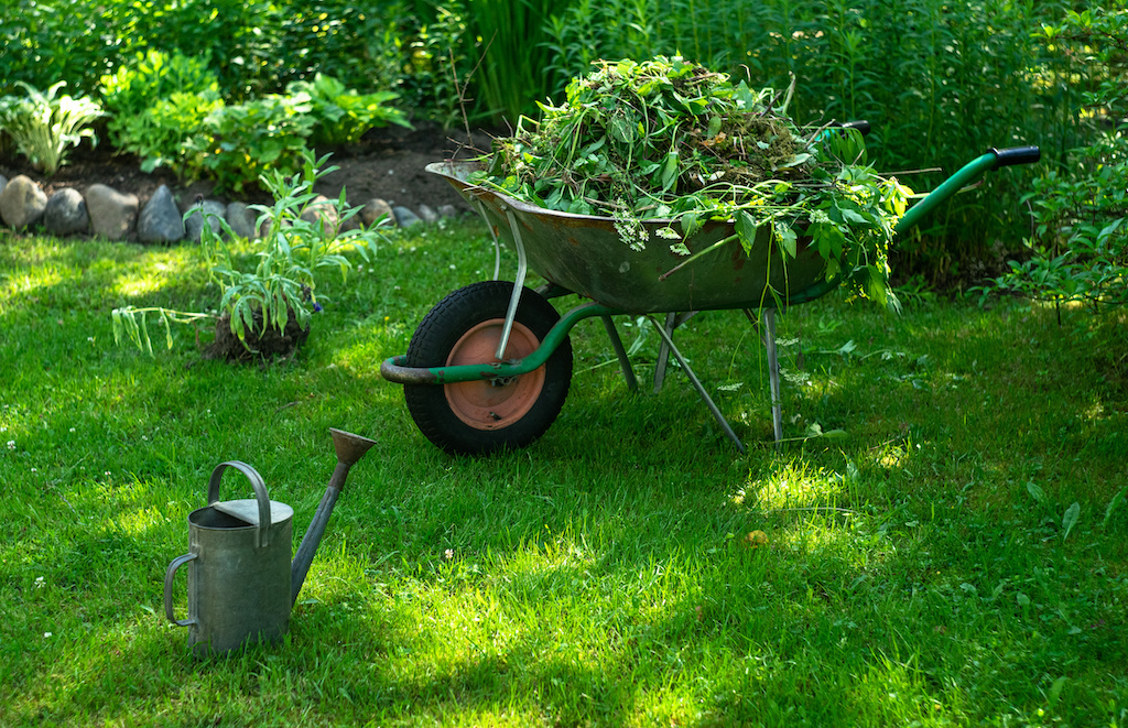 green waste removal