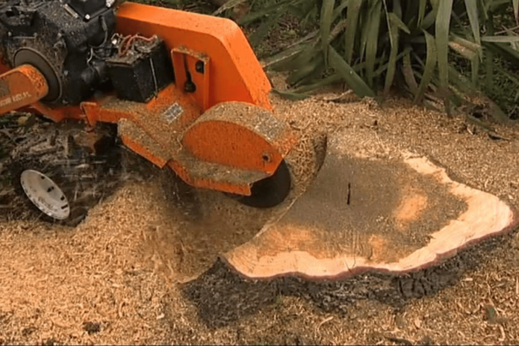 Tree Stump Grinding