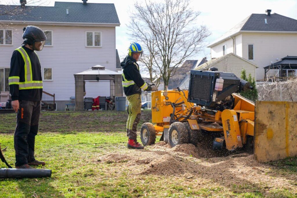 Tree Stump Grinding