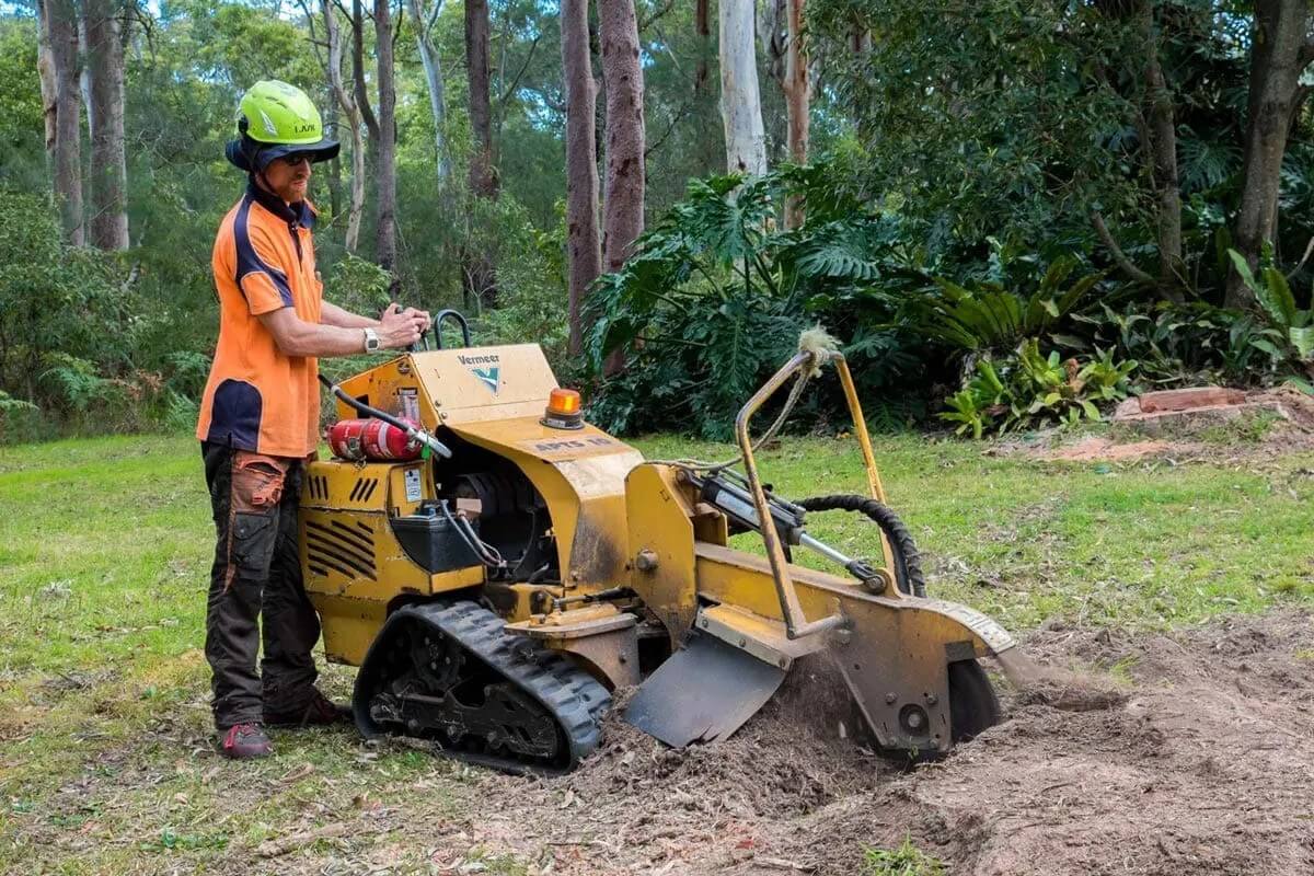 Tree Stump Grinding