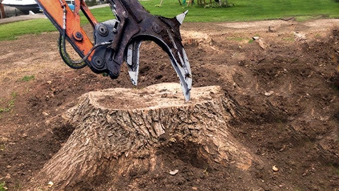 stump grinding sydney
