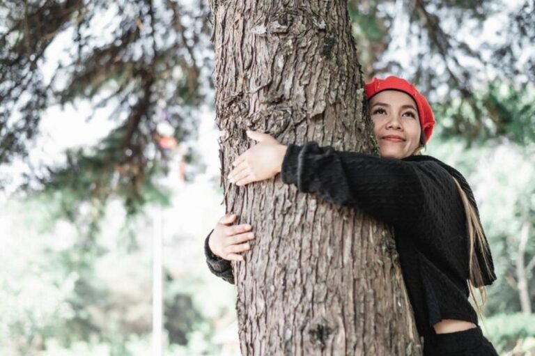 Arborist Hornsby
