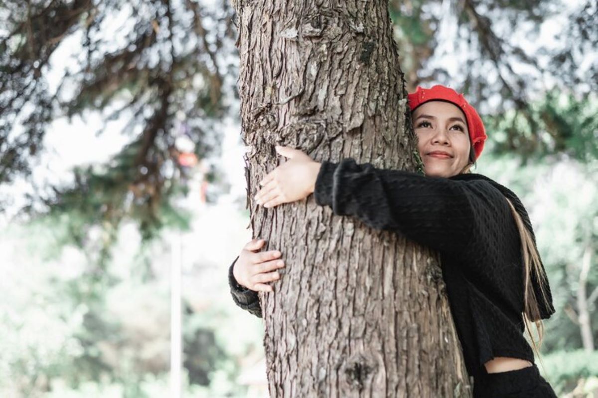 Arborist Hornsby