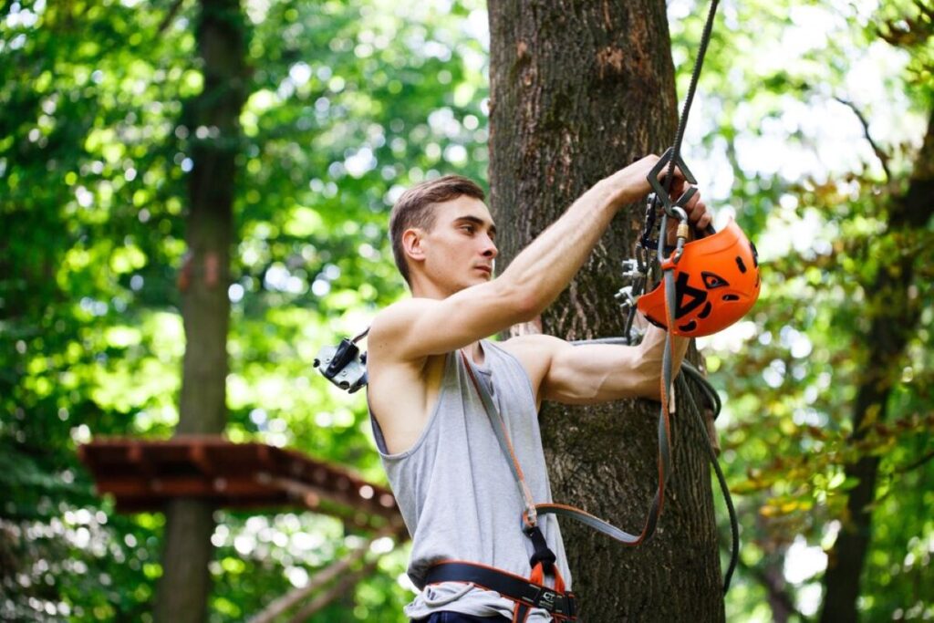 Wahroonga tree services