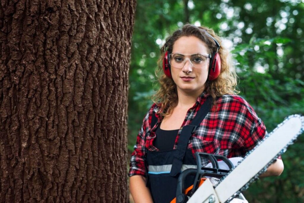 Arborist Hornsby