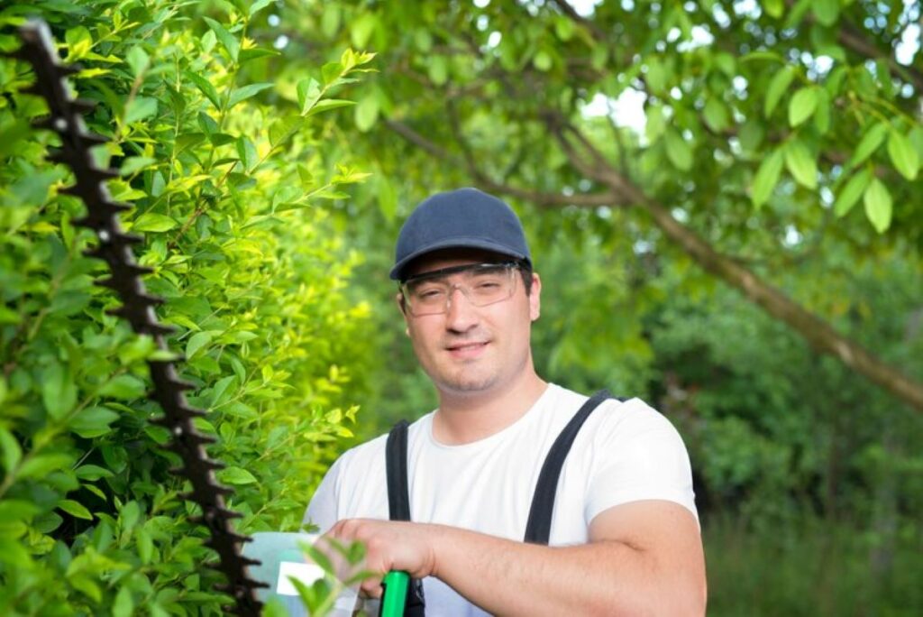 Arborist Hornsby