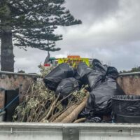 Finding Reliable Green Waste Removal Near Me for Hassle-Free Disposal