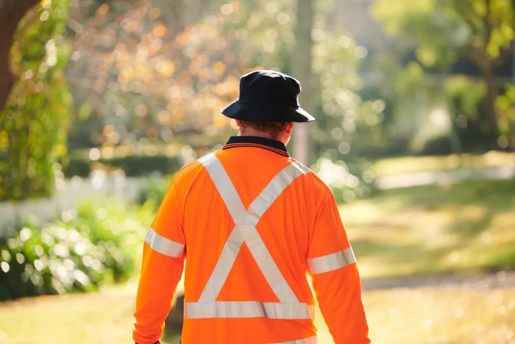 Tree Lopping Sydney: Professional Crown Reduction and Strategic Branch Management


