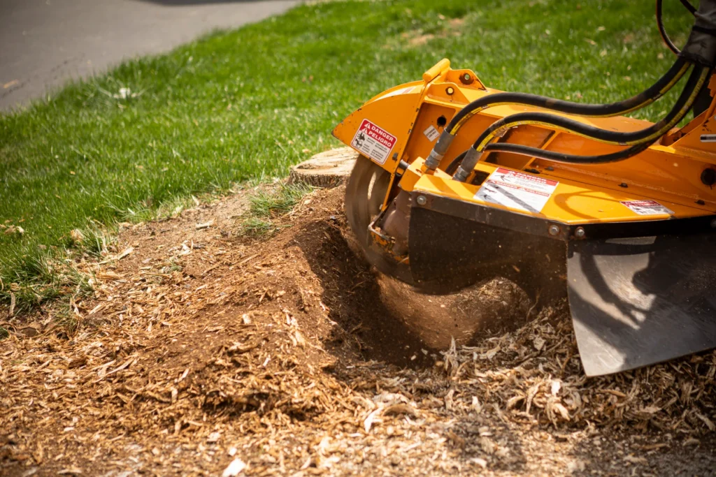 Stump Grinding Cost: Complete Pricing Guide and Budget Planning for Stump Removal